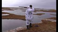 Охота на гусей в Заполярье, Россия (RUS)