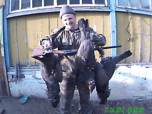 дома