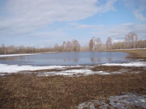 В полях
