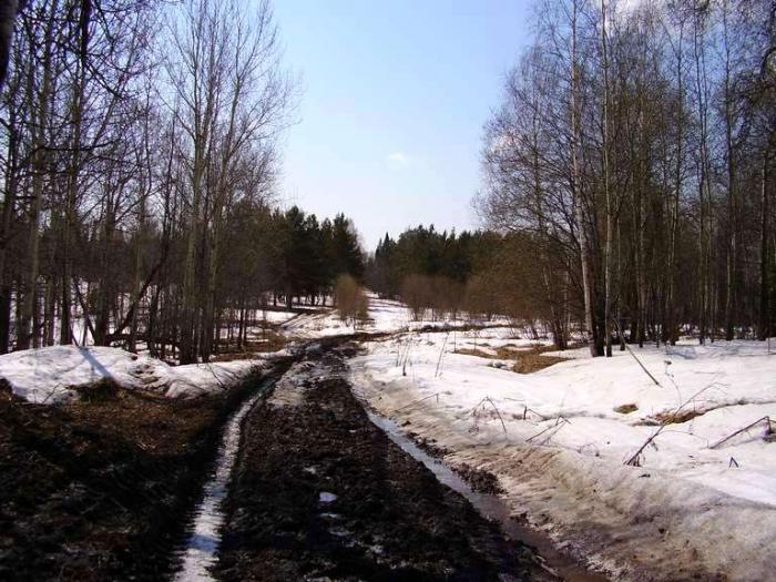 Пошёл за калбой.