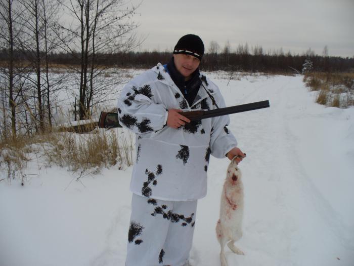 ЗАЙКА