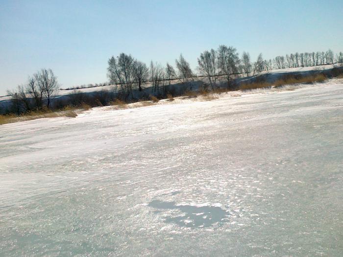 оз. Мостовое. Алтайский край