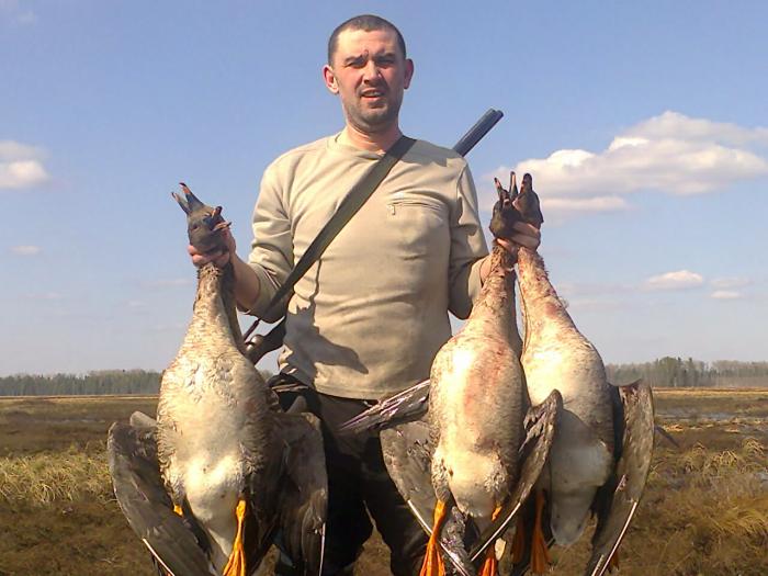 Весна 2012