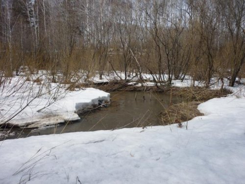 Прибывает водица в дачном ручье.
