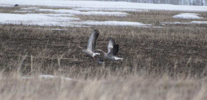 Там же.