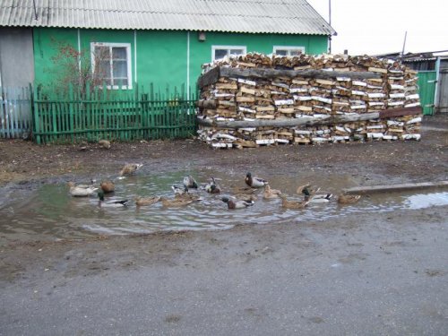 Скоро за дело.