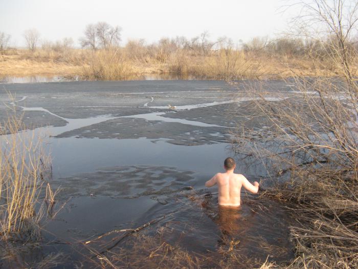 Морж охотничий.
