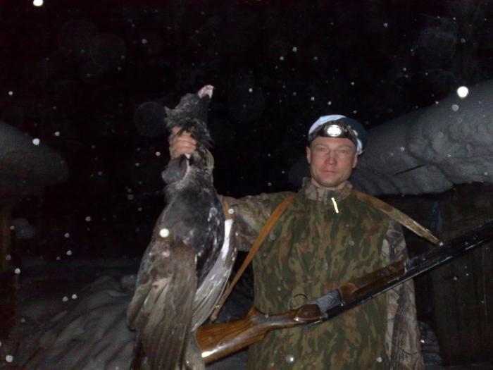 глухарь