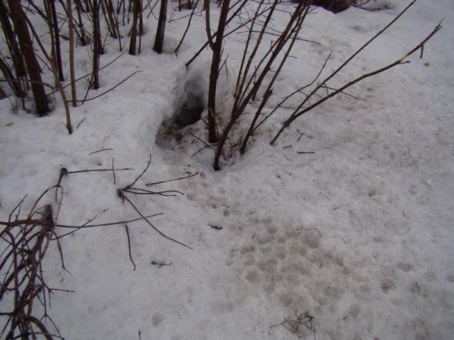 Квартирка