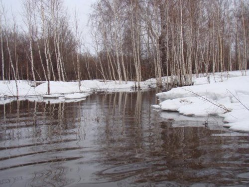 Кисельные реки, молочные берега.