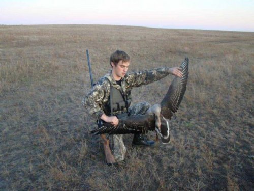 осень 2012