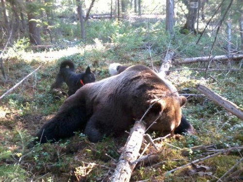 Вот такая выдалась весна...