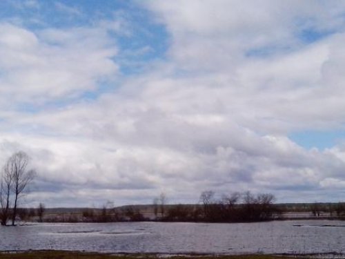 оз.Лебяжье. Вид на д.Умну. Вода до самого бора.