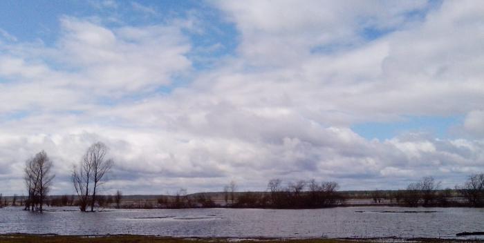 оз.Лебяжье. Вид на д.Умну. Вода до самого бора.