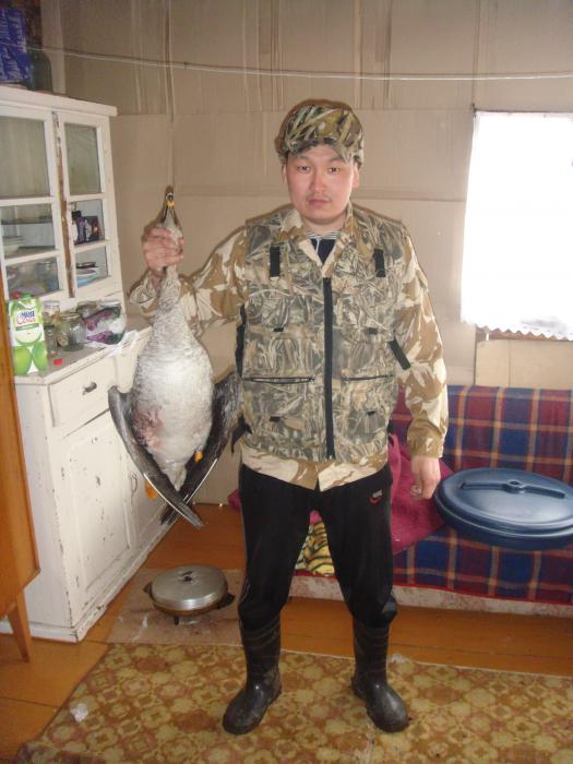 Вот гусь (май 2013)