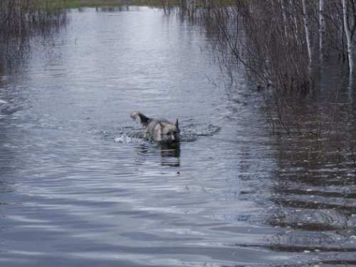 Проба воды