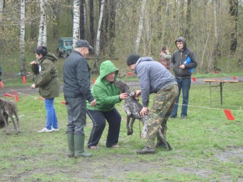 "Поцелуйчики"