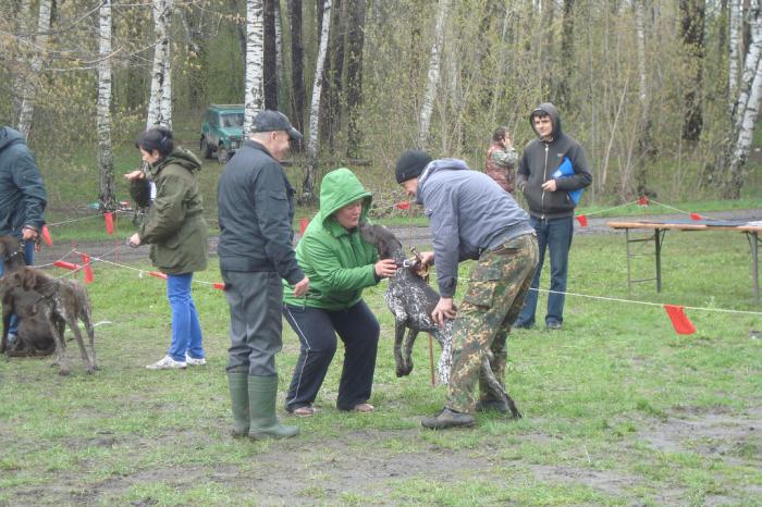 "Поцелуйчики"
