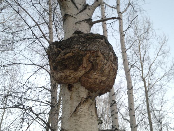 Это кап?????