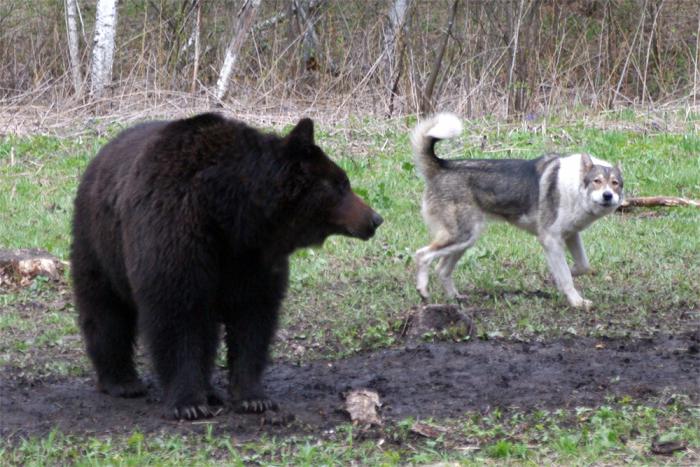 Уп-с... Пожалуй, зайду по-позже...