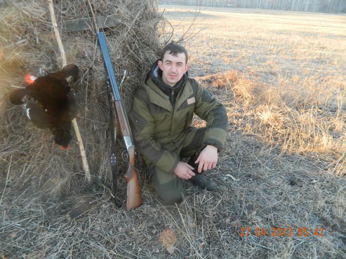 Ток 2013