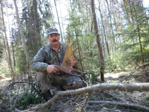 Весна,есть что пособирать