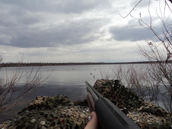 В ожидании...