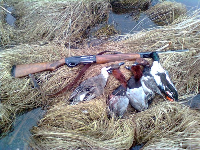 Весна 2013-1