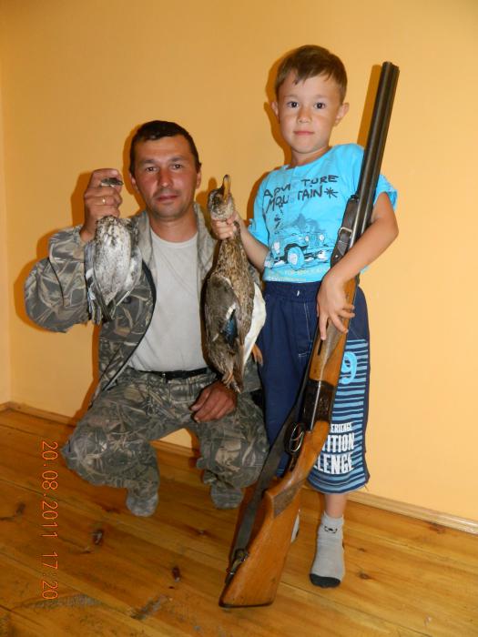 Чирок и кряква.