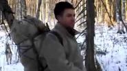 добыть медведя