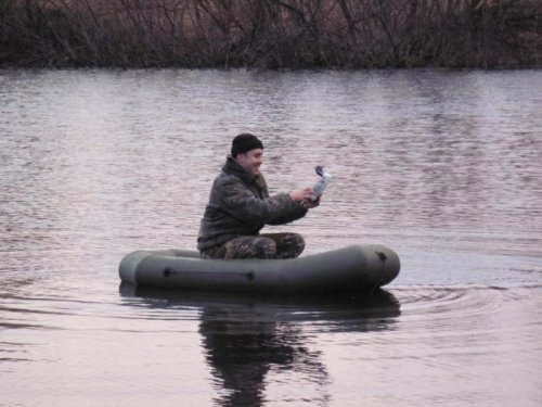 Шилохвостых вживую не увидел...