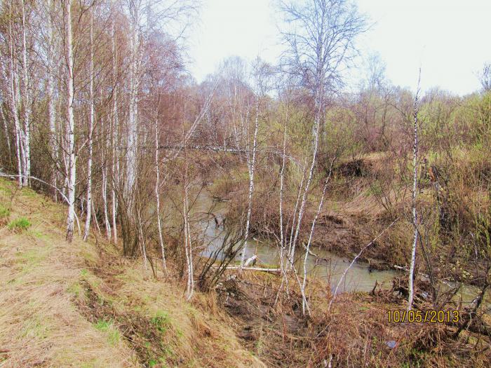р.Киичка.