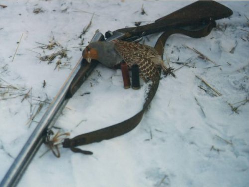 14 декабря 1998 год