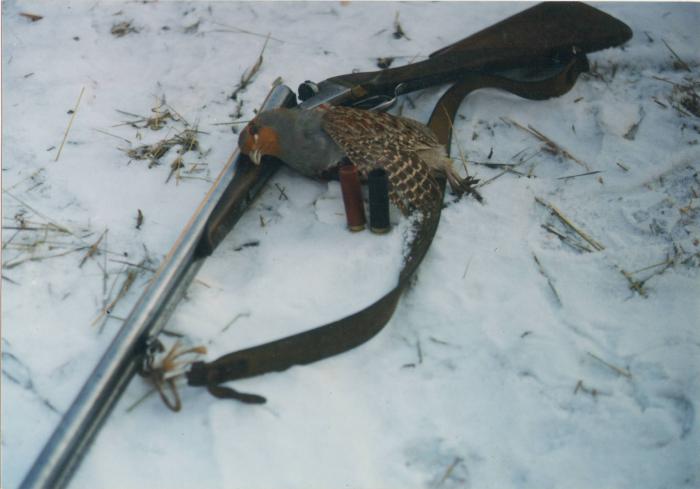 14 декабря 1998 год