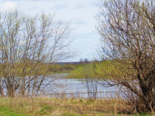 Излучина реки.