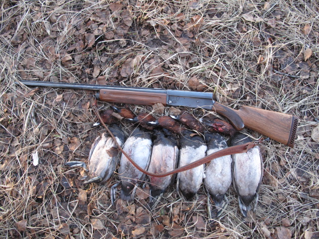 Весна 2013