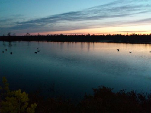 зорька