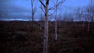 Ток- 2013, начало