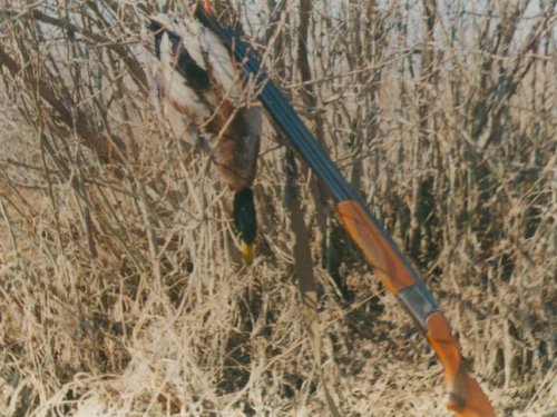 25 апреля 2000 год