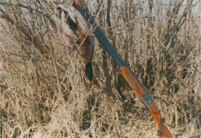 25 апреля 2000 год