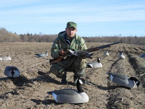 Нежданный гость.