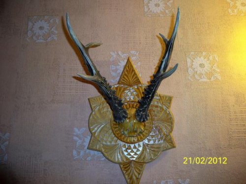 Трофей 2009 года