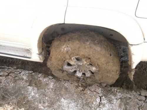 В погоню за гусем!
