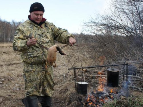 Процесс  пошел.