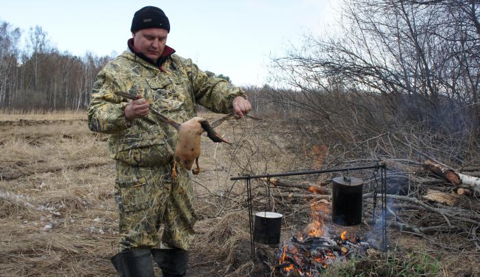 Процесс  пошел.