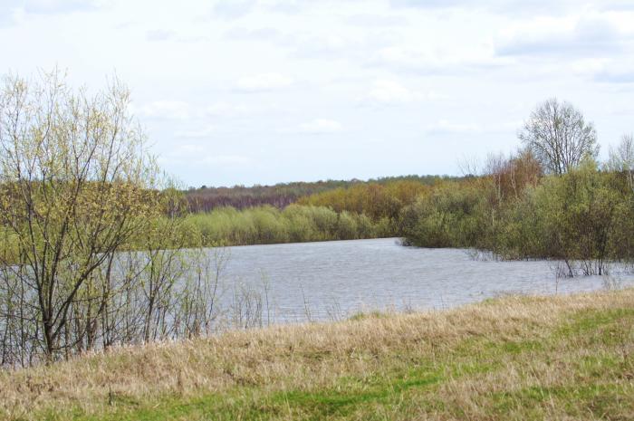 р.Иня.