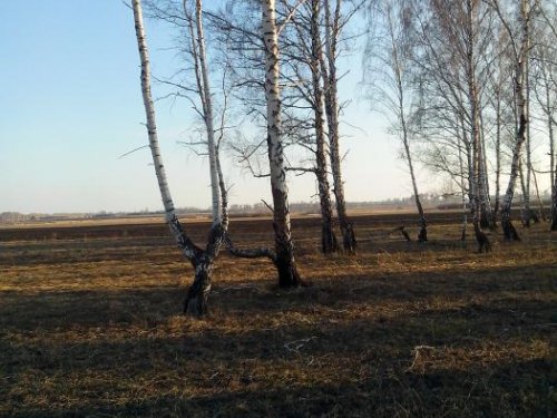 Открытие 2013