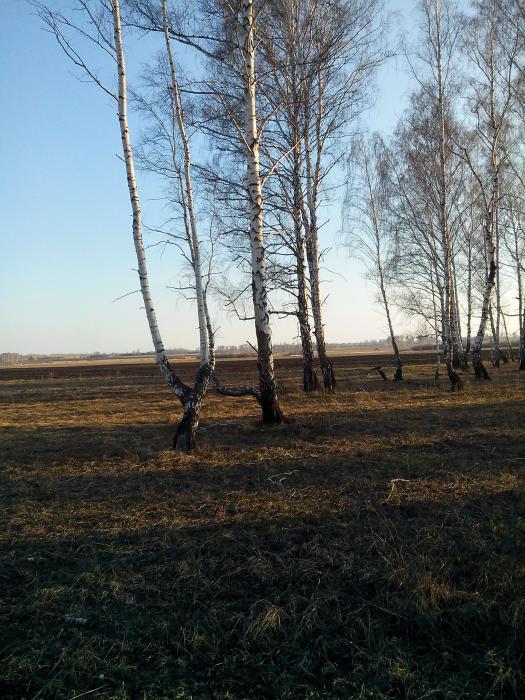 Открытие 2013