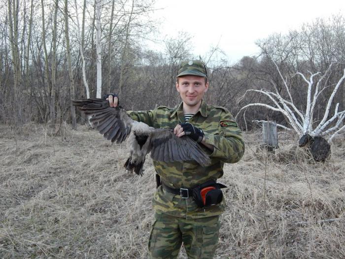 Бой воронью!