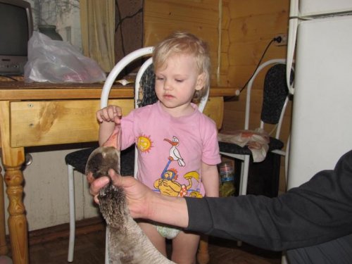 А ты не кусаешься?